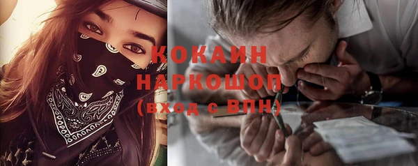 молекула духа Арсеньев