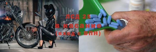 молекула духа Арсеньев