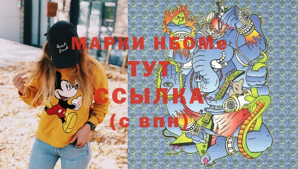 молекула духа Арсеньев