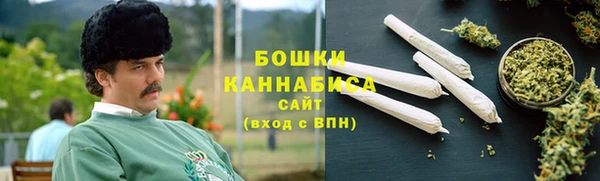 молекула духа Арсеньев