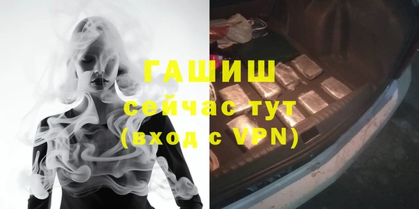 молекула духа Арсеньев
