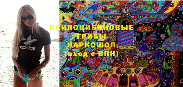 apvp Аркадак