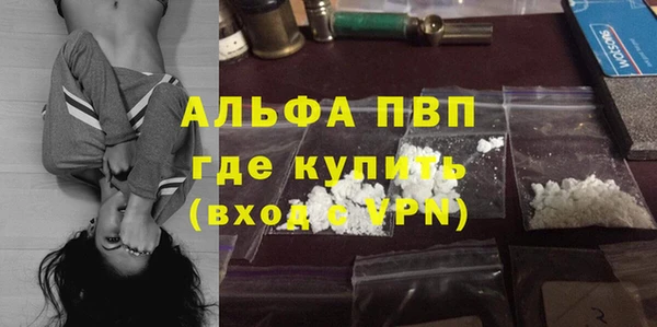 молекула духа Арсеньев