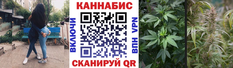 Конопля VHQ  Циолковский 